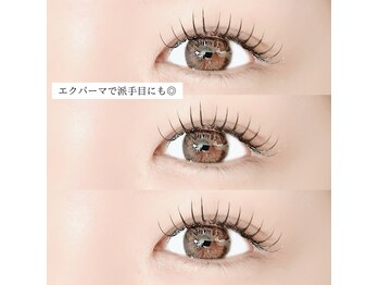 シーズントーキョー(SEASON Tokyo)/エクパーマ/エクパ