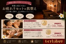 テルヒブール(terhibur)