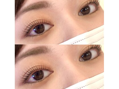 ダリア(DAHLIA)の写真