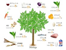 カルム(calm.)/モリンガ