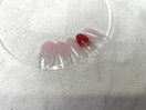 定額¥4400