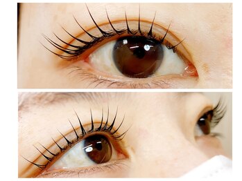 ニジュウバンチ クダマツ(20Banchi Kudamatsu)/