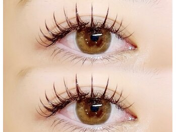 ビューティー アイラッシュ ベルウインク(Bellewink)/フラットラッシュ120本（LED）