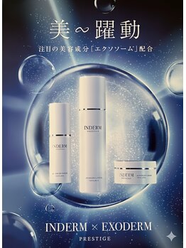 イネスプライベートスペース(Ines)/インダームシリーズが応援