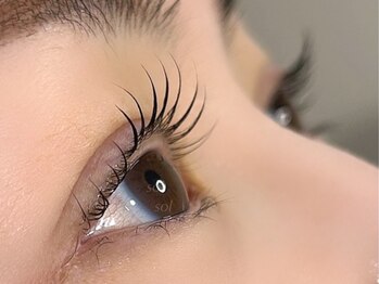 ソル ラッシュアンドブロウ(SOL lash&blow)/まつ毛パーマ