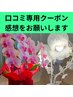 口コミクーポン専用☆　ご感想をお願い致します