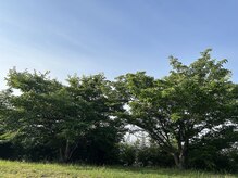 コウジュウドウプラス(耕揉堂Plus+)/プライベートその3