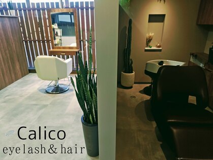 キャリコ(Calico)の写真