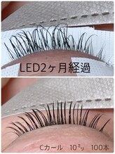 マカナニ(Makanani)/LEDエクステ