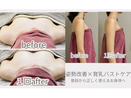 ビオラ(美ola)の写真