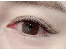 キューアイラッシュ(Q-Eyelash)/4Dボリュームラッシュ