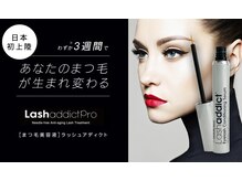 プリンプアイラッシュ(PRIMp.Eyelash)/ラッシュアディクト正規取扱店