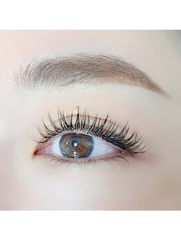 プルーヴ(PROVE)/フラットラッシュ160本