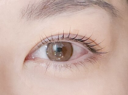 シェリー(Cherie)の写真