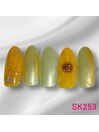 蒲田店限定-SK253