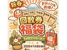 リサーナ(Re:SA-NA)