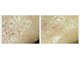 サロン ド ボーテ プルーラ(Salon de beaute PLURA)の写真