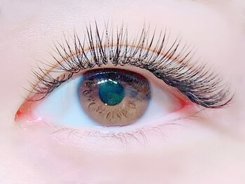 キャメル(Camel)/ボリュームラッシュ