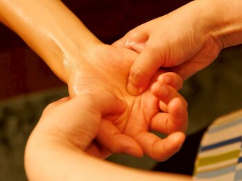 モミノキ(mominoki)/