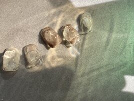 Akane指名限定アート