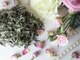 ローズブランシュ(Rose Blanche)の写真