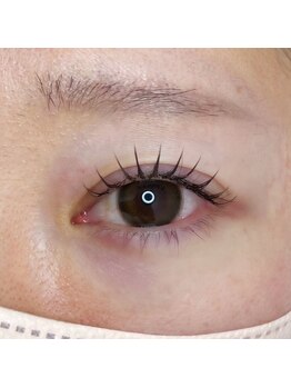 ナプ(nap)/フラットラッシュ120本