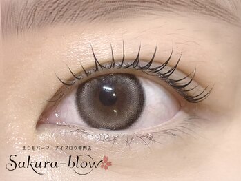 サクラブロウ 渋谷店(Sakura-blow)の写真/丁寧カウンセリング&寄り添い施術の渋谷のまつげパーマ・アイブロウ専門店【プレミアムまつげパーマ¥3300】