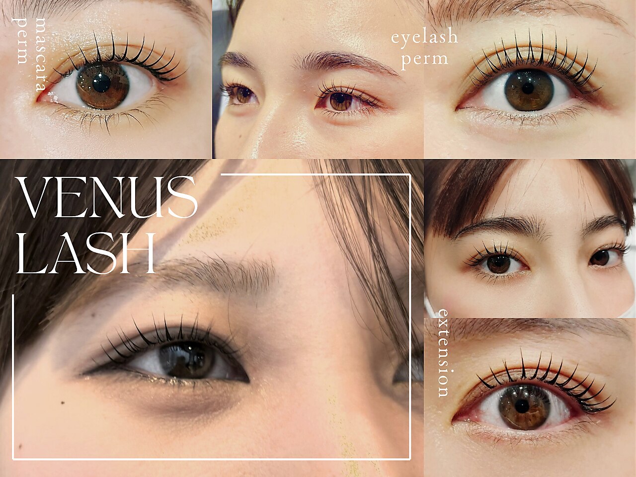 まつげエクステ専門店 ヴィーナスラッシュ 新宿店(Venus Lash