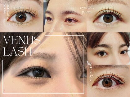 まつげエクステ専門店 ヴィーナスラッシュ 新宿店(Venus Lash)の写真