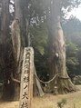 ルーナ(LUNA) 神社仏閣、御神木などパワースポット巡りも好きです♪