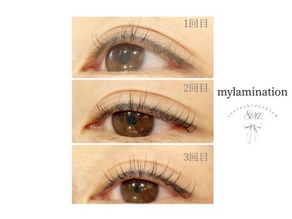 オッターヴァ 学芸大学(8va.)の写真