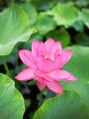浅草 凛/浅草凛　リラク&エステ　スタッフ