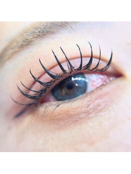 ボス(VOSS)/パリエク