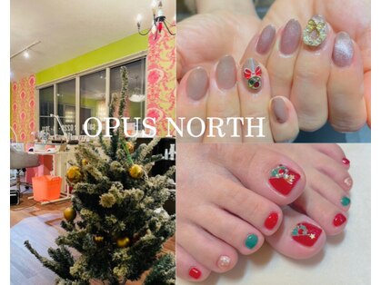 オーパス ノース(OPUS north)の写真