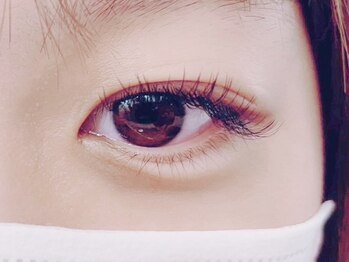 キャメル(camel)/【フラットCカール】100本