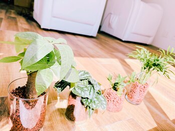 シードアンドビューティー 代官山店(SEED&Beauty)/