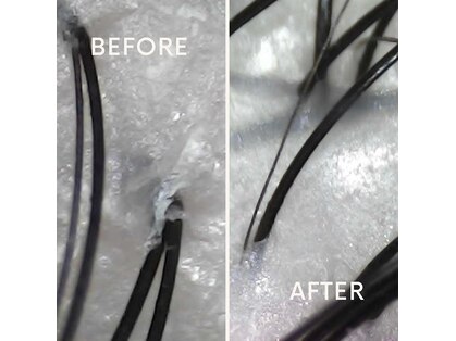 フサモミ(HUSAMOMI)の写真