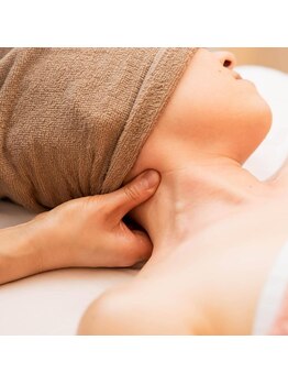 ロサ ケンティフォリア(Rosa centifolia)/~Rosa centifolia~