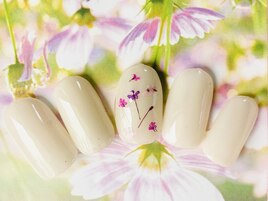 定額5300円コース