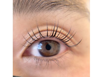 ルノ(runo)の写真