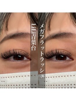 ヒュッゲ 青葉台(HYGGE)/メガフラットラッシュ