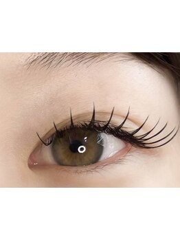 初めての方にオススメ