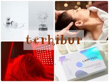 テルヒブール(terhibur)