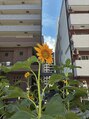 からだ屋 博多店&nbsp;一眼レフ等で写真を撮るのが好きです！気づくと容量が、、笑