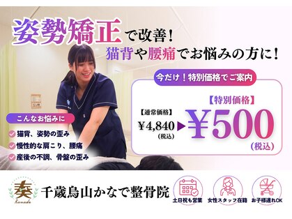 千歳烏山かなで鍼灸接骨院の写真