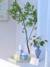 カノープ(Canope)/インテリア