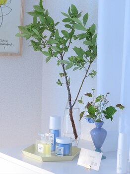 カノープ(Canope)/インテリア