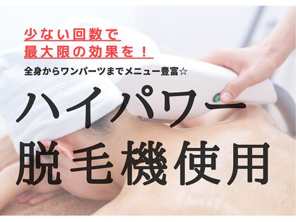 シロ チューズミー(Shiro choose me)の写真