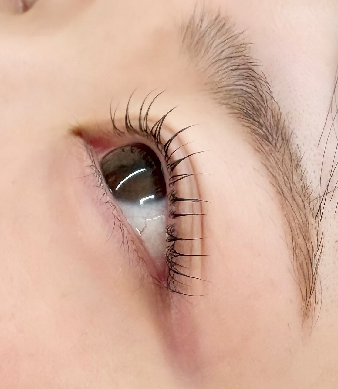 【人気No.1】ダメージレス★似合わせまつげパーマ＋保湿ケア付★電話予約枠有