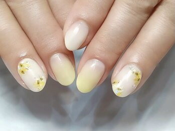 ルビー(RUBY)/定額シンプルアート